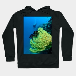 Panglao Island, Bohol, Philippines Hoodie